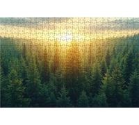 Puzzle 3000 Pieces Adultes Arbre, Puzzle 3000 Pièces Bois DIY Adulte Paysage, Puzzle Classiques Compact Box pour Tableau Decoration Murale Cadeau Femme 80x120cm RXPT-9564