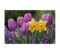 Puzzle 3000 Pièces Adultes, Puzzle 3000 Pieces Fleur, Tulipe Puzzles Adulte avec Une Boîte d'emballage Exquise, Jeux Educatifs, Grand Puzzles en Bois pour Cadeau Femme Tableau Decoration Murale -2535