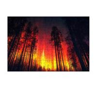 Puzzle 3000 Pièces Adultes, Puzzle 3000 Pieces Forêt, Aurore Puzzles Adulte avec Une Boîte d'emballage Exquise, Jeux Educatifs, Grand Puzzles en Bois pour Cadeau Femme Tableau Decoration Murale -1415