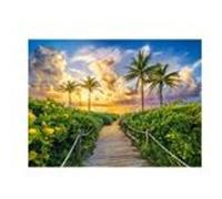 Puzzle 3000 pièces Castorland - Miami, Etats-Unis multicolore G