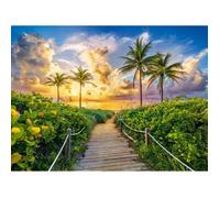 Puzzle 3000 pièces : Lever de soleil coloré à Miami, USA