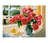 Puzzle 3000 pièces : Réminiscence d'été Castorland G