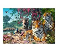 Puzzle 3000 pièces : Sanctuaire du tigre