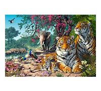 Puzzle 3000 pièces Tiger Sanctuary