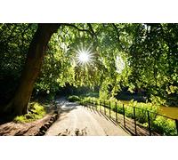 Puzzle 3D 1000 pièces, beauté Naturelle, Soleil, lac, Parc, Feuilles, Angleterre, Piste 38x52CM