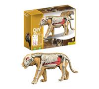 Puzzle 3D Animaux pour Jouet Modèle Réaliste Éducatif du Requin-Tigre