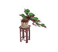 Puzzle 3D en bois à construire - ROBOTIME Bonsaï de pin à feuilles persistantes