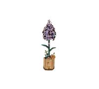 Puzzle 3D en bois Rowood Lilas