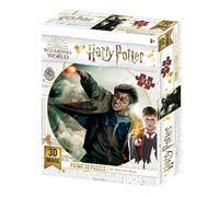 Pyramid International Puzzle lenticulaire Harry Potter – Bataille 300 pièces Effet 3D