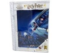 Puzzle 3d Harry Potter & Ron Prime3d (300 Pcs)