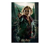 Puzzle 3d Harry Potter Hermione Granger Battle Prime3d (300 Pcs)