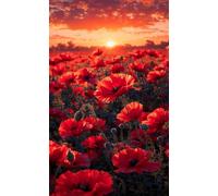 Puzzle 4000 Pièces Adulte Coucher Soleil Coquelicots Rouges - Puzzle Classique Grand Format 141x87 cm - Jeu de Patience et d'Adresse en Famille - Idée Cadeau et Magnifique Décoration Murale