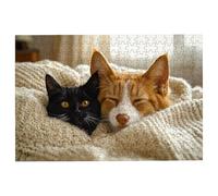 Puzzle 4000 Pieces Chat, Puzzle 4000 Pièces Adultes Chien, Puzzles Classiques Jeux Educatifs pour Activité Familiale, Qualité Supérieure Puzzles en Bois avec Boite pour Cadeau Femme, Decor -1560