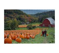 Puzzle 4000 Pieces Citrouille, Puzzle 4000 Pièces Adultes Automne, Puzzles en Bois pour Adultes Jeux Educatifs, Puzzles avec Une Boîte d'emballage Exquise pour Cadeau, Tableau Decoration Murale -2498