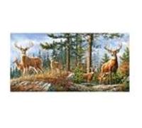 Castorland Puzzle 4000 pièces Famille Cerf Royal multicolore