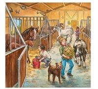 Puzzle 49 Pièces : 3 Puzzles - Bienvenue au centre équestre, Ravensburger G