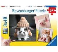 Puzzle 49 Pièces 3 Puzzles - Portraits Drôles D'animaux