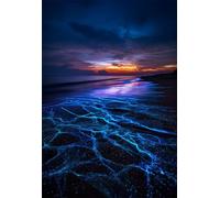 Puzzle 50 Pieces Paysage Plage, Jeu éducatif Défi Jouets Stimule Concentration et Imagination, Puzzle Adulte 50 Pièces 35 x 25 cm