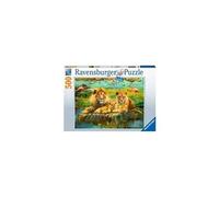 Puzzle Pz Lions Dans La Savane 500p