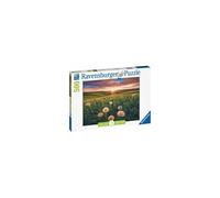 Ravensburger - Puzzle Adulte - Puzzle 500 p - Pissenlits au crépuscule - 16990