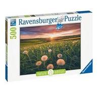 Ravensburger – Puzzle adulte – Pissenlits au crépuscule – 500 pièces – 16990