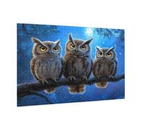 Puzzle 500 Pièces Animal Puzzle Adultes Hibou Motif avec Avec Boîte Cadeau, DIY Wooden Puzzl Enjoy Activités de défi Familial pour Tableau Decoration Murale, Cadeau Homme/Femme 52 x 38 cm -188Y