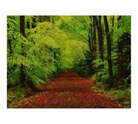 Puzzle 500 Pièces,Bricolage Moderne Art Mural Cadeau-forêts,Arbres,Sentier 52x38cm