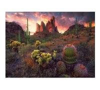 Puzzle 500 pièces : Cactus et épines