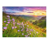 Campagne Au Lever Du Soleil - Puzzle 500 Pièces