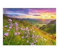 Puzzle 500 pièces : Campanules au lever du soleil Castorland G