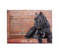 Puzzle 500 pièces Cane Corso, Gros Chien Noir, pour Adultes et Personnes âgées