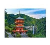 Puzzle 500 pièces Castorland - Seiganto-ji, Japon multicolore G