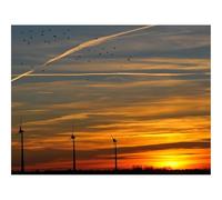 Puzzle 500 Pièces, Classique Puzzle Jouet en Bois-Ciel,Oiseaux,Soir,Déclin,Orange,Crépuscule,Paysage 52x38cm