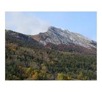 Puzzle 500 Pièces, Classique Puzzle Jouet en Bois-Montagne,Pic,forêts,Arbres,Pente 52x38cm