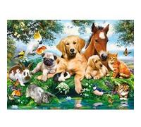 Puzzle 500 pièces : Copains d'été Castorland G