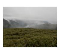 Puzzle 500 Pièces, Développe Réflexion et Dextérité-Collines,vallée,Brouillard,Paysage 52x38cm