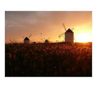 Puzzle 500 Pièces, Développe Réflexion et Dextérité-Moulins,Champ,Déclin,Orange,Soleil,Silence 52x38cm
