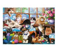 Puzzle 500 pièces : Famille Chat