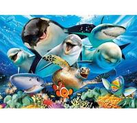 Puzzle 500 Pieces Fond Marins Dauphins Requins et Orque - Set Puzzle Collection Animaux de la mer et Carte Animaux - Enfant - Adulte