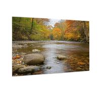 Puzzle 500 Pièces Forêt Puzzle Adultes Rivière Motif avec avec Boîte Cadeau, DIY Wooden Puzzl Enjoy Activités de défi Familial pour Tableau Decoration Murale, Cadeau Homme/Femme 52 x 38 cm -79Y