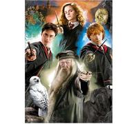 Educa - Harry Potter | 500 pièces Puzzle pour Adultes. Mesure: 34 x 48 cm. À partir de 11 Ans (19914)