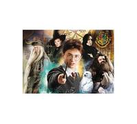 Puzzle 500 pièces : Harry Potter