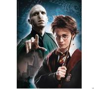Puzzle 500 pièces : Harry Potter