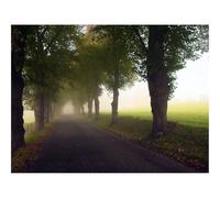 Puzzle 500 Pièces - Jeu De Patience et de Réflexion-Avenue,Arbres,Brouillard 52x38cm