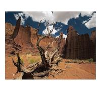Puzzle 500 Pièces Jeux éducatif Défi Jouets Cadeaux-Canyons,Arbre,Mort 52x38cm