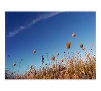 Puzzle 500 Pièces Jeux éducatif Défi Jouets Cadeaux-Ciel,Herbe,Sec,Bande,Nuage,Trace,Brillamment 52x38cm