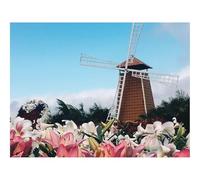 Puzzle 500 Pièces Jeux éducatif Défi Jouets Cadeaux-Moulin,Lys,Fleurs,Bâtiment 52x38cm