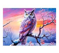 Puzzle CASTORLAND La soirée parfaite avec la chouette 500 pièces