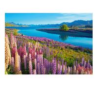 Castorland Puzzle 500 Lake Tekapo, Nouvelle-Zélande CASTOR 5904438053896