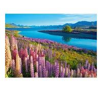 Puzzle 500 pièces : Lac Tekapo, Nouvelle-Zélande Castorland G